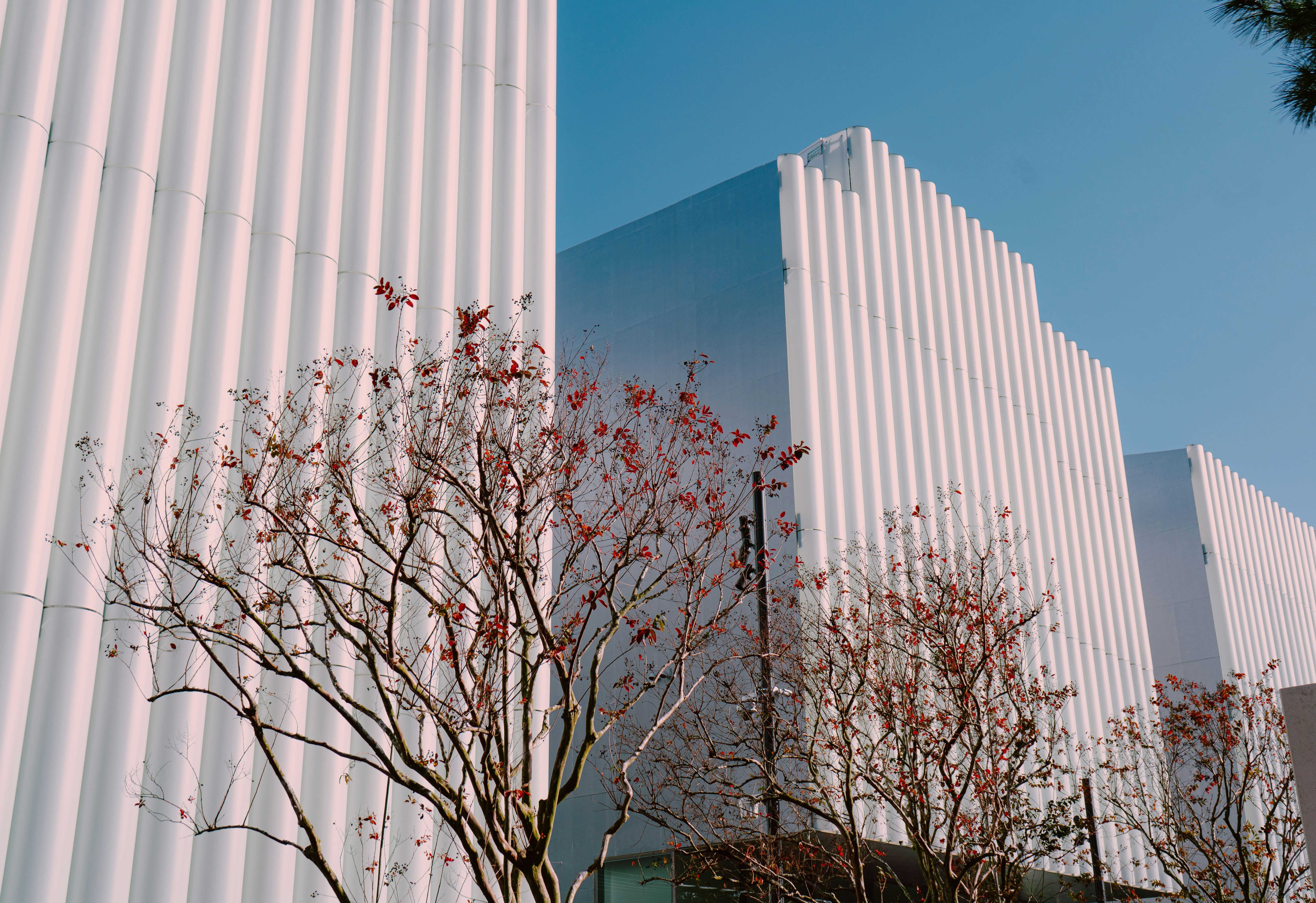 seo for interior designers in Houston, USA