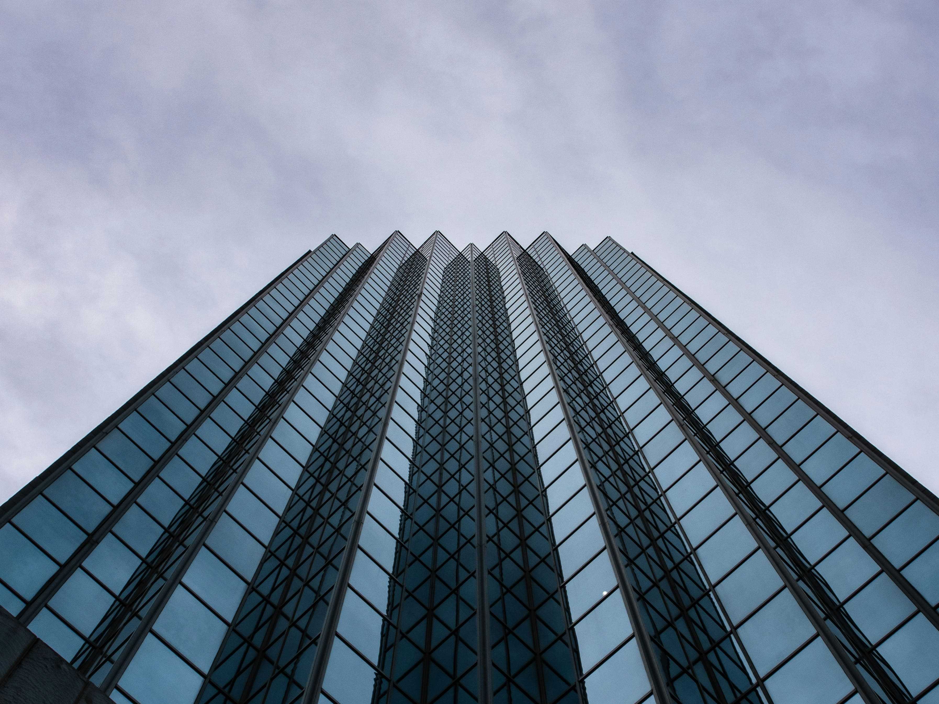 seo for interior designers in Dallas, USA