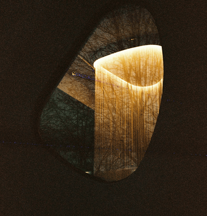 Website Design & Development